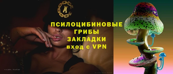 spice Абаза